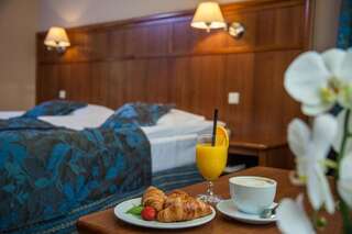 Отель Farmona Hotel Business & SPA Краков Двухместный номер с 1 кроватью или 2 отдельными кроватями-4